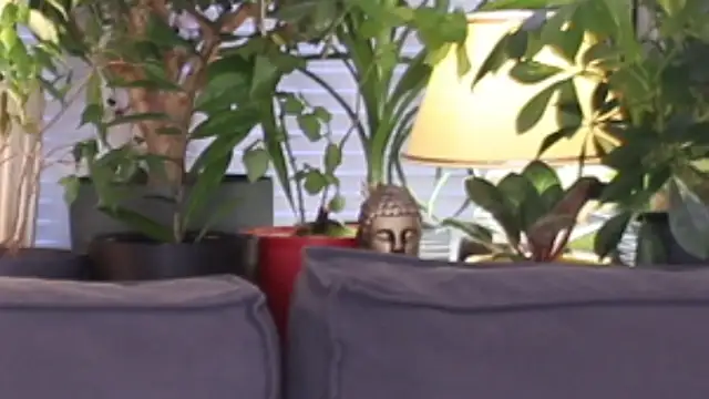 Lily minx online show from 11.13.25