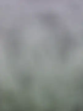 fuckineverett online show from 03.15.25