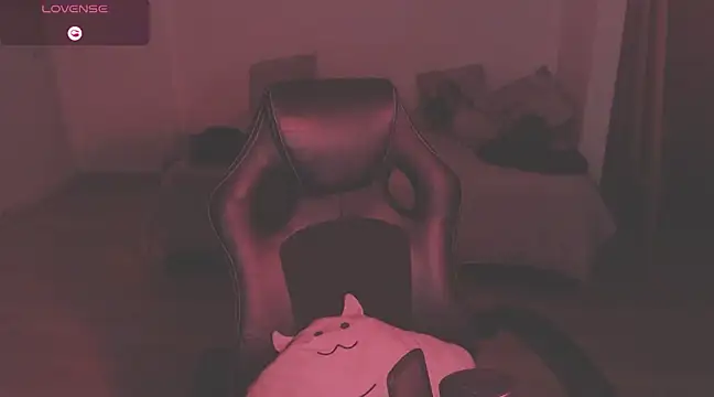 Snapshot of modjo_ chatting on 12.29.24 modjo  online show from 12.29.24