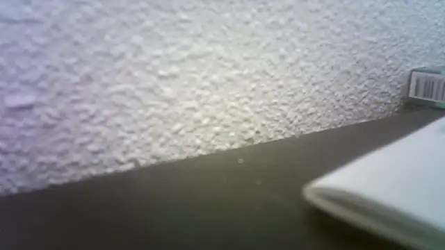 pau65vb online show from 11.19.25