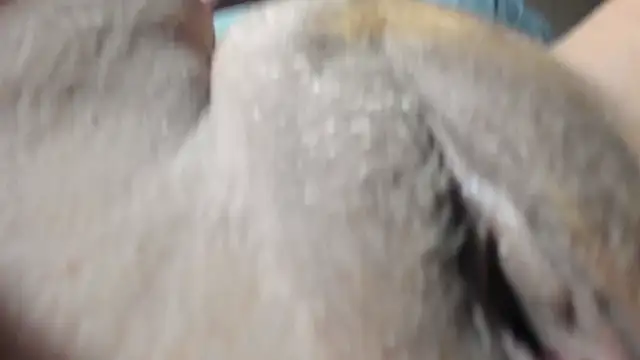 Snapshot of FrumCake chatting on 12.27.24 FrumCake online show from 12.27.24