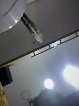 Snapshot of Tayra_Siny chatting on 02.14.25 Tayra Siny online show from 02.14.25