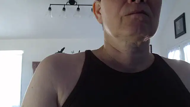 AuroraWillows online show from 11.14.25