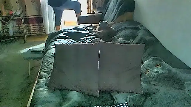 sex2 online show from 03.08.26