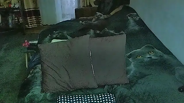 sex2 online show from 04.09.26