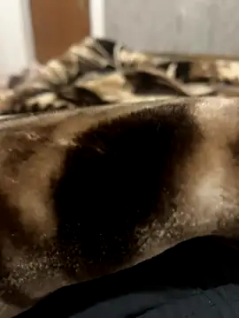 bigshow112 online show from 11.13.25