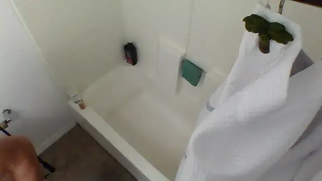 Yankeedave420 online show from 01.27.25