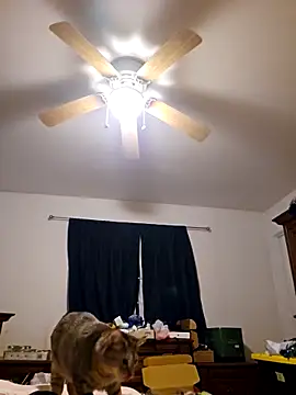 Snapshot of ScarletCallings420 chatting on 02.19.25 ScarletCallings420 online show from 02.19.25