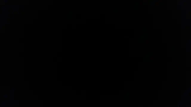 palidin1 online show from 02.09.26