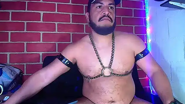 the master foal  online show from 01.10.25