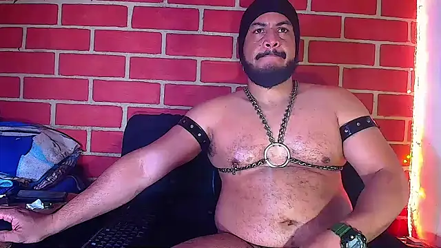 the master foal  online show from 01.10.25