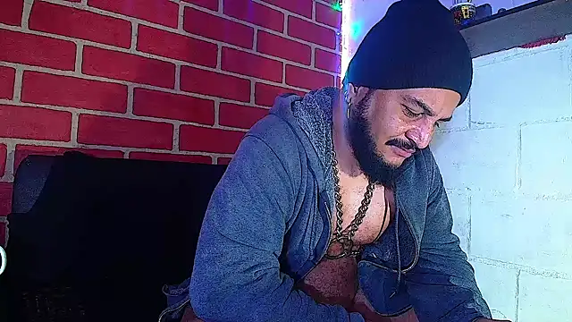 the master foal  online show from 01.11.25