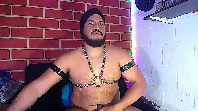 the master foal  online show from 01.14.25