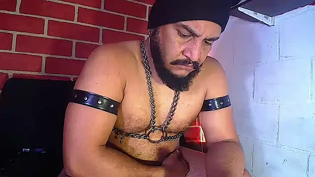 the master foal  online show from 01.14.25