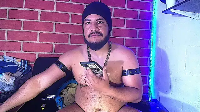 the master foal  online show from 01.19.25