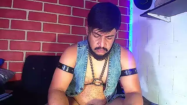 the master foal  online show from 01.22.25