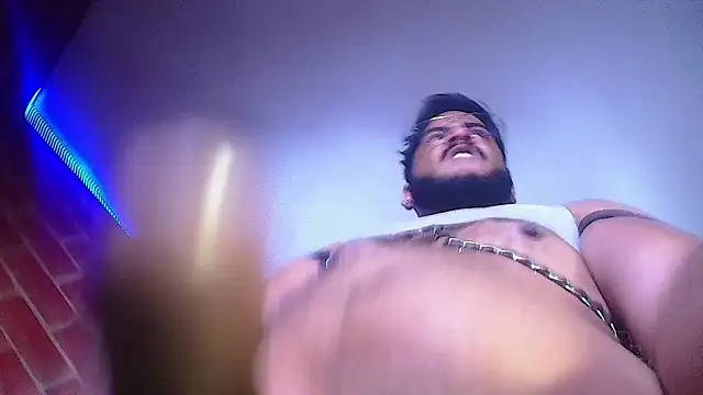 the master foal  online show from 01.23.25