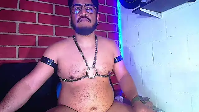 the master foal  online show from 01.28.25