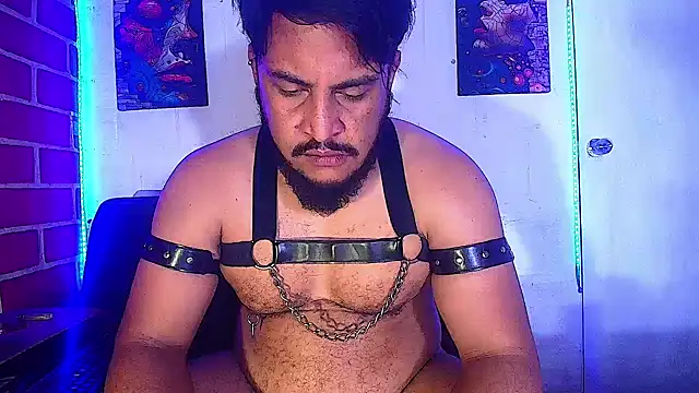 the master foal  online show from 02.19.25