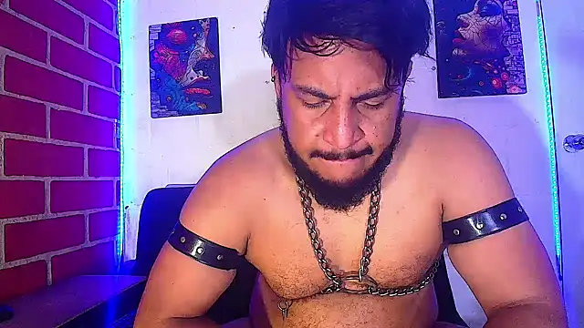 the master foal  online show from 02.20.25