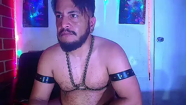 the master foal  online show from 03.05.25