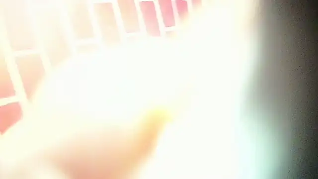 the master foal  online show from 03.06.25