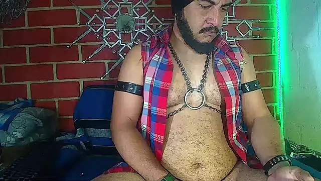 the master foal  online show from 03.18.25