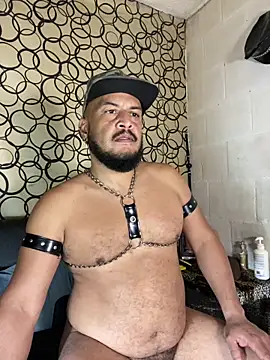 the master foal  online show from 04.19.26