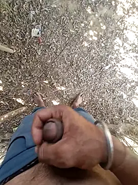 Snapshot of breejs chatting on 11.23.25 breejs online show from 11.23.25