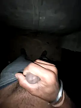 Snapshot of breejs chatting on 12.15.25 breejs online show from 12.15.25