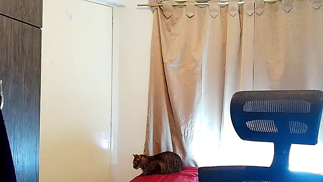 Snapshot of jimmy_class chatting on 12.05.25 jimmy class online show from 12.05.25