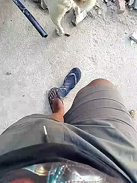 TitularAdaption online show from 02.19.26