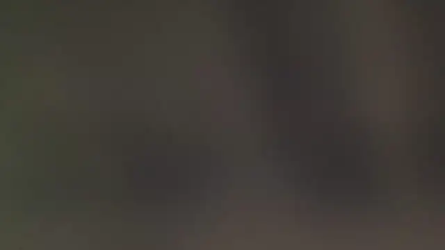 leccaleccafiga online show from 02.25.26