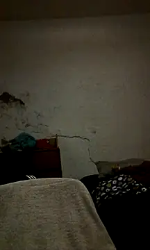 landy20cm online show from 12.08.24