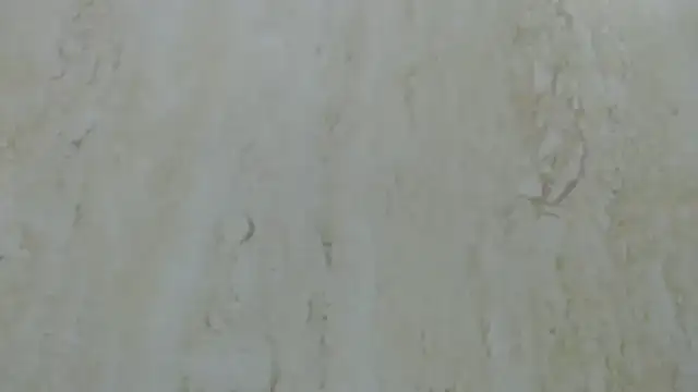 Crazy team  online show from 12.20.24