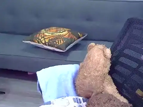 Bee 2k online show from 02.04.26