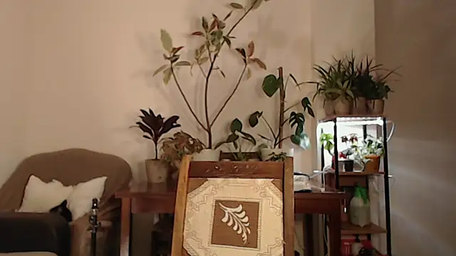 Herman Elfi online show from 03.13.25