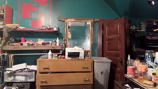 Snapshot of charactrzero chatting on 02.05.26 charactrzero online show from 02.05.26