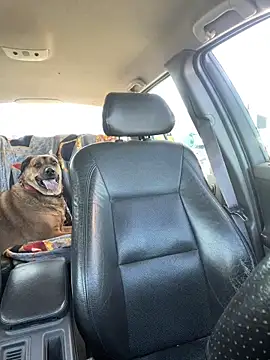 steph19x5 online show from 04.20.26