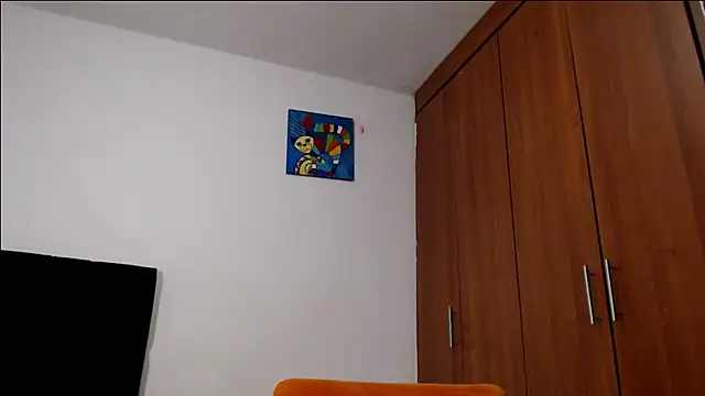 Van3orgasm4me online show from 05.29.26