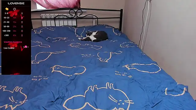 eva zero online show from 11.03.25