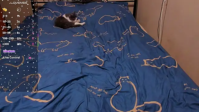 eva zero online show from 02.27.26