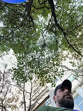 TigerOne19 online show from 10.29.25