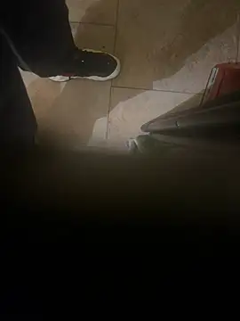 dingoding online show from 01.08.25