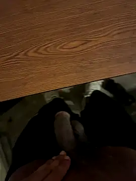 dingoding online show from 10.08.25