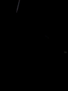 casalmandrake20 online show from 12.21.25