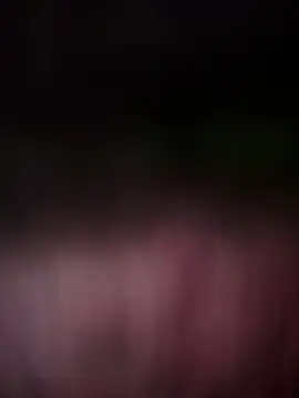 clairewntr online show from 12.15.24