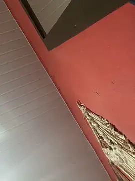 pimenta gaby online show from 11.04.25