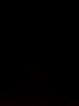 Like african online show from 02.09.26