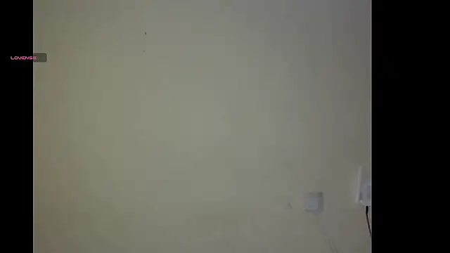 Snapshot of BrieryTomato chatting on 12.30.24 BrieryTomato online show from 12.30.24